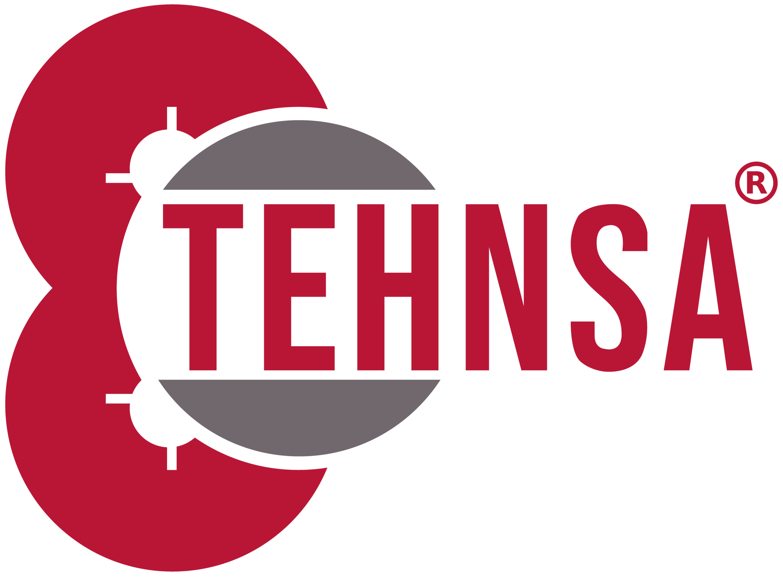Logo Tehnsa